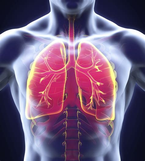 respiratory cnc|Respiratory .